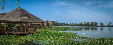 Фотографии Отель Hotel Insula г. Нептун (Румыния) №4 Фото Отель Hotel Insula г. Нептун 4